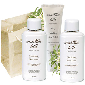 Soothing Skin Care Collection (100ml, 2 x 250ml)